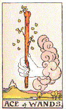 outcome: Ace of Wands