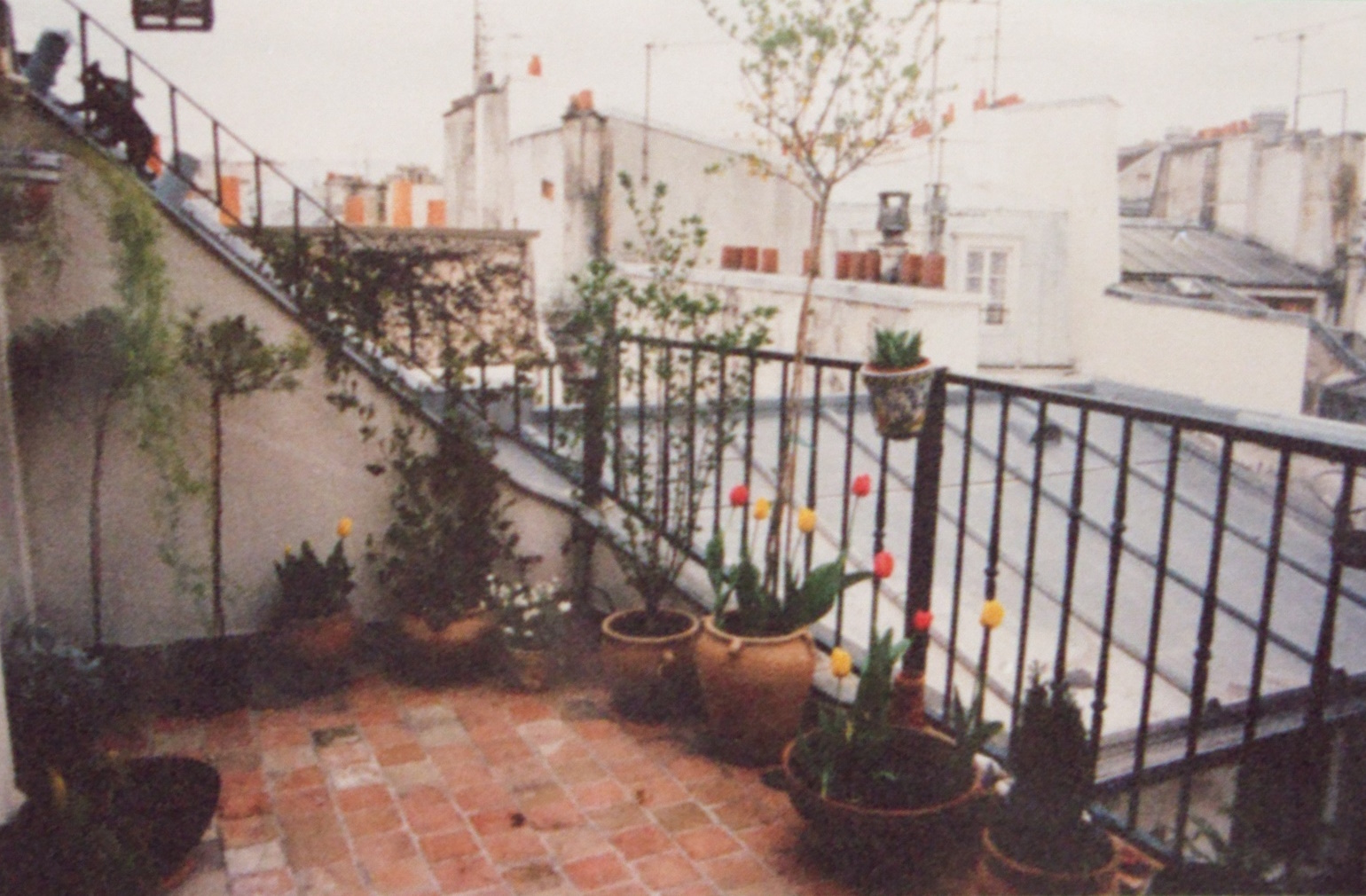 Tiled area with railings and flowers in tubs, overlooking rear courtyard